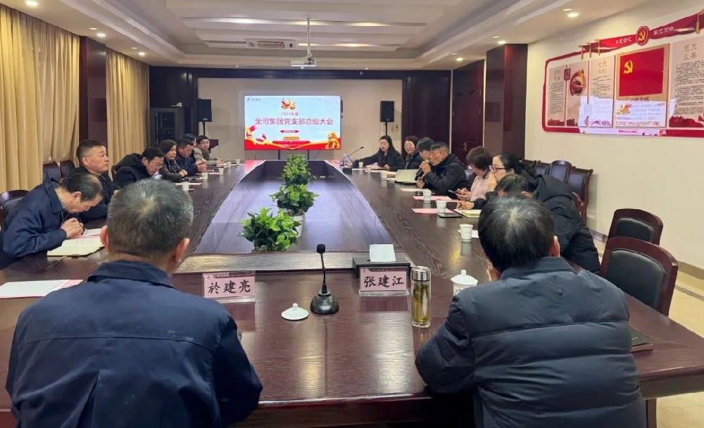 东升国际党支部召开2024年年度总结聚会